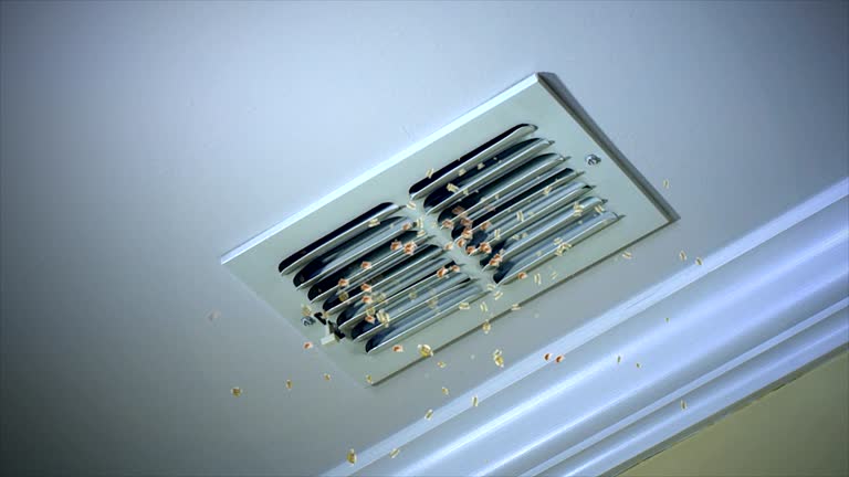 Best Emergency Air Duct Cleaning  in Hayti, MO