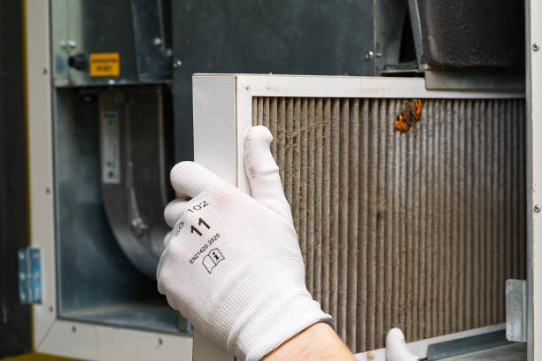 Best HVAC System Cleaning  in Hayti, MO