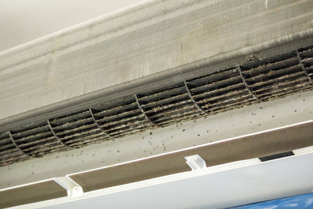 Best Duct Cleaning for Homes  in Hayti, MO