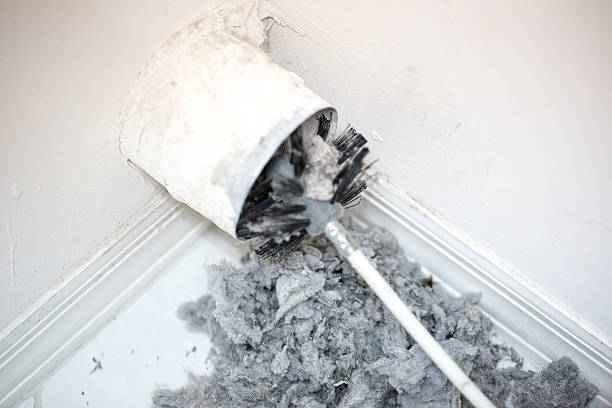 Best Air Duct Mold Removal  in Hayti, MO