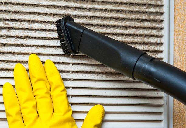 Best Local Air Duct Cleaning Services  in Hayti, MO