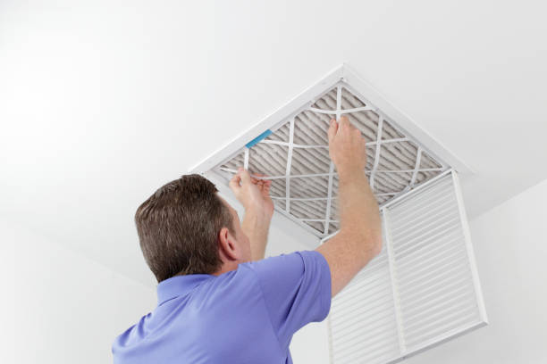 Air Duct Mold Removal in Hayti, MO